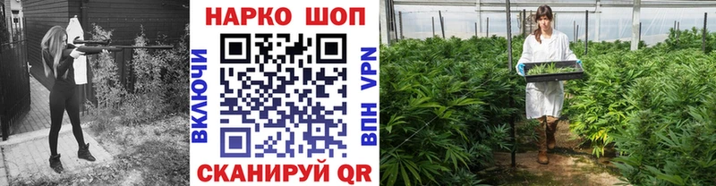 Каннабис Мурино