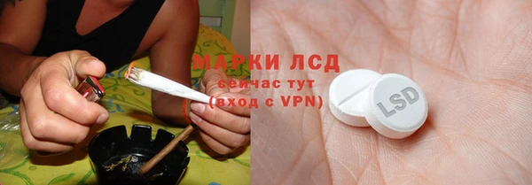 дживик Аркадак