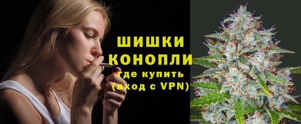 дживик Аркадак