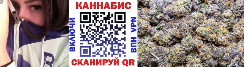 Конопля план  площадка Telegram  Мурино 
